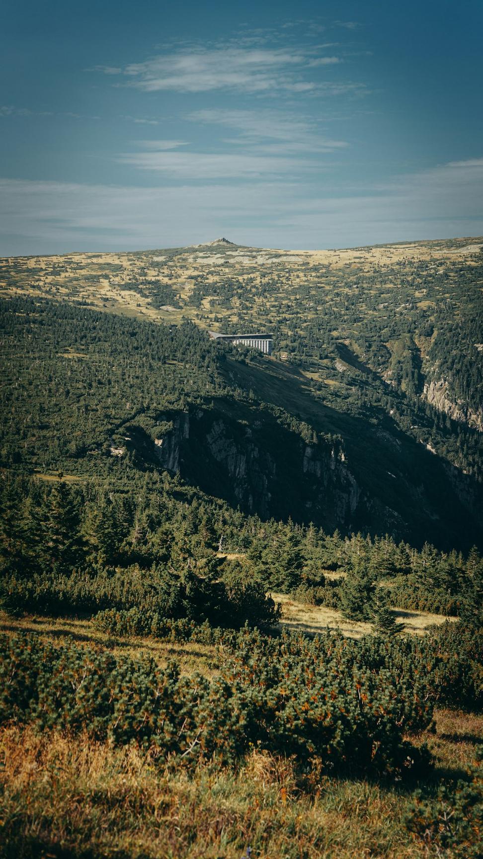 Whistler Mountain View